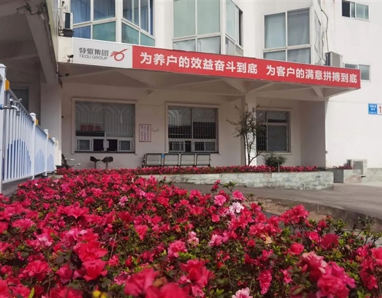 特驱农牧“双美评选”揭榜，现代化饲料工厂原来长这样！