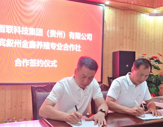 强强携手！泥腿智联与宜宾金鑫养殖合作社签约，赋能养户稳收致富